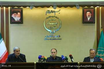 027A0135 copy
